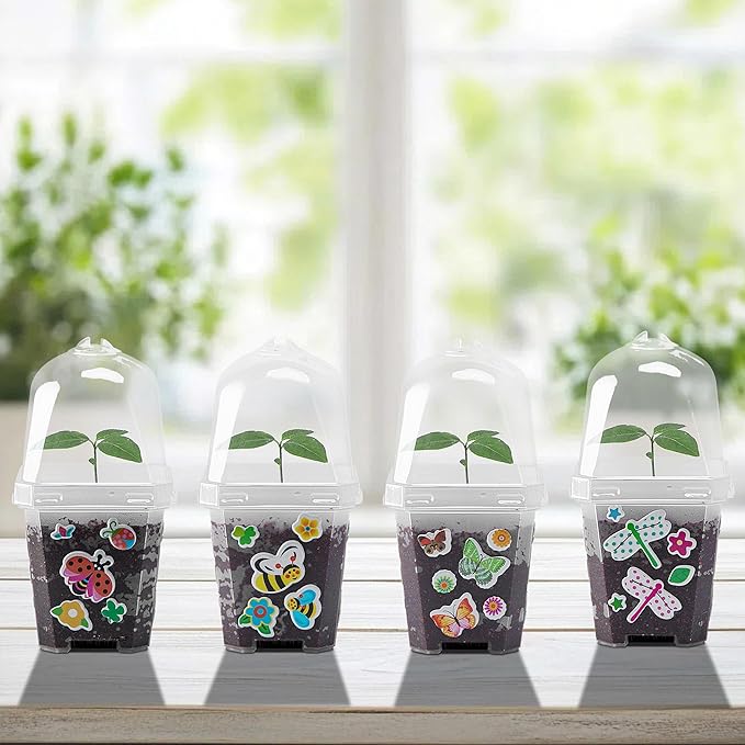 EBaokuup 10 Pack Clear Plant Nursery Pots - Image 4