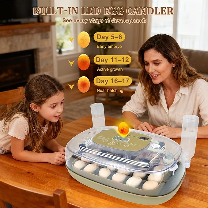 Smart 24-Egg Incubator for Hobbyists, Full-Stage Adaptive Humidity & Temp - Image 2