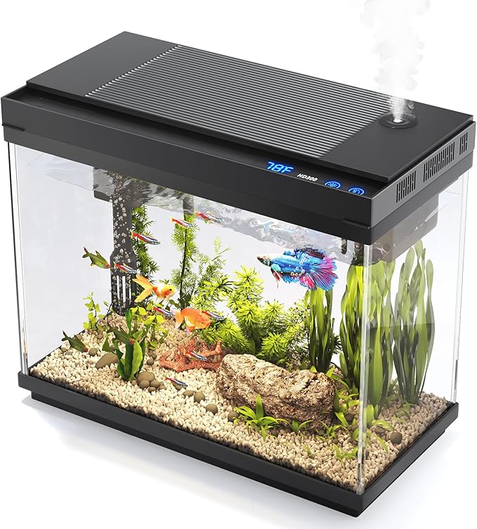 Fish Tank, 2.4 Gallon Fish Aquarium, Fish Tank Starter kit by VEHIPA