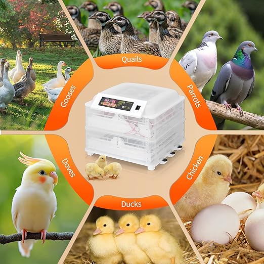 Winado Incubators for Hatching Eggs, 96 Egg Incubator - Image 8