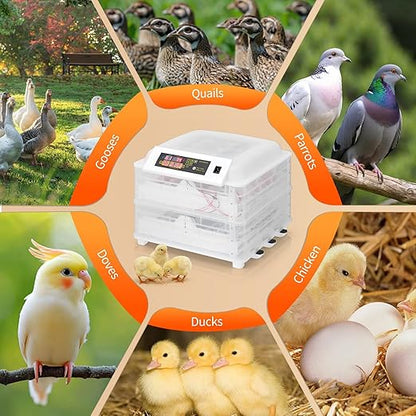 Winado Incubators for Hatching Eggs, 96 Egg Incubator - Image 8