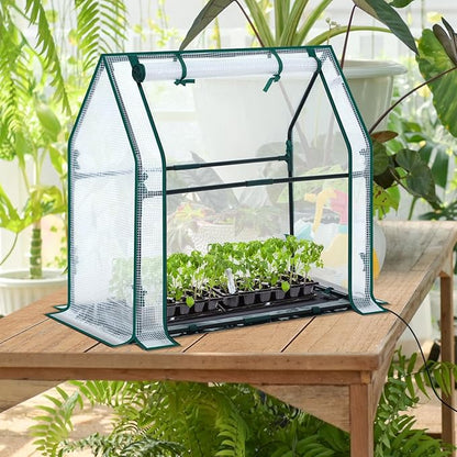 Mini Greenhouse for Indoor Outdoor: Ohuhu Tabletop Portable Green House - Image 4