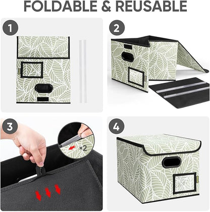 BALEINE File Organizer Box - Image 8