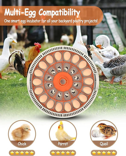 30 Egg Incubators for Hatching Eggs - Image 6