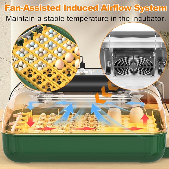 30 Egg Incubator for Hatching Eggs - Image 5