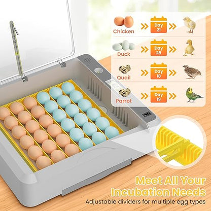 36-60 Egg Incubator with Automatic Egg Turning and Humidity Control, Adjustable - Image 6