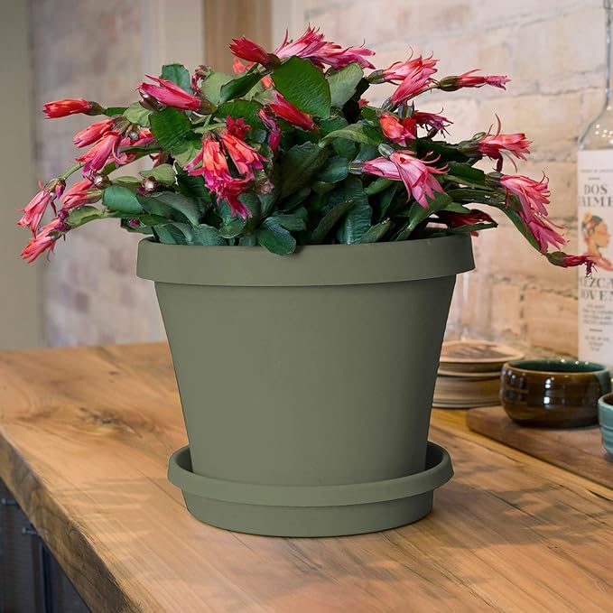 Bloem Terra Plant Saucer Tray for Planters 9-12" Living Green - Image 3