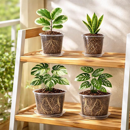 12 Pack 10/8/6/5 Inch Reinforced Large Clear Nursery Pots - Image 5