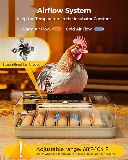 48 Egg Incubator for Hatching - Image 4