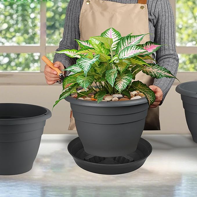 4 Pack Plant Saucer 10 inch, 8 12 14 17 inch, Plant Stand Plastic Plant Saucers - Image 6
