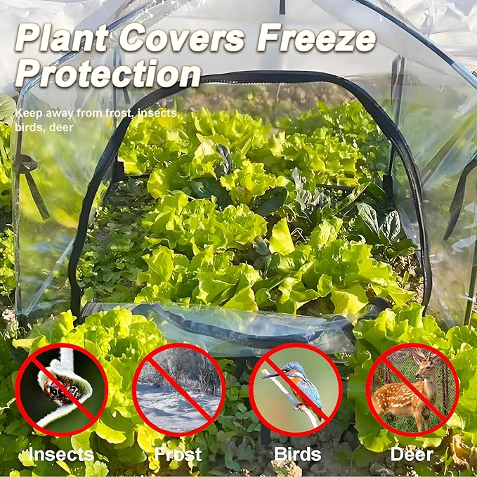 24.5″ *24.5″ *20.5″, Mini Greenhouse Winter Plant Warm Covers - Image 5