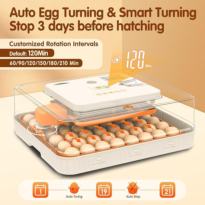 56 Eggs Incubators for Hatching Eggs - Image 4