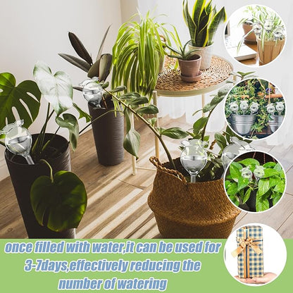 Yungyan 6 Pcs Self Watering Plant Globes Glass Cactus Insert Watering Devices - Image 2