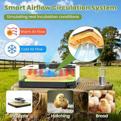 48 Egg Incubator for Hatching Eggs - Image 3