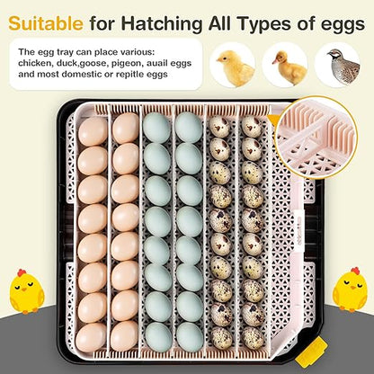 Sailnovo 48 Egg Incubator for Hatching Eggs - Image 7