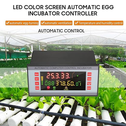 Automatic Egg Incubator 160V-220V 50Hz, Digital LED Display - Image 3