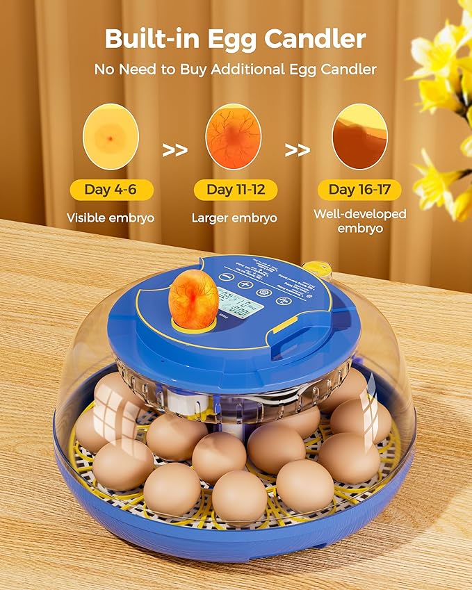18 Incubators for Hatching Eggs, Automatic Egg Turning and Humidity Control - Image 6