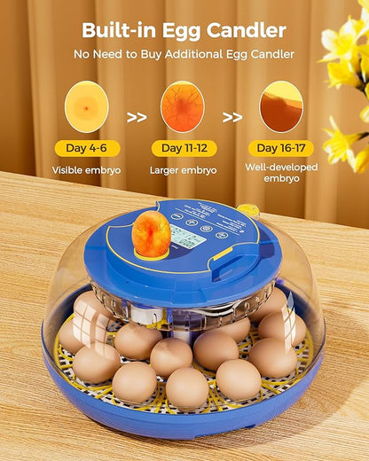 18 Incubators for Hatching Eggs, Automatic Egg Turning and Humidity Control - Image 6
