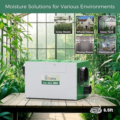 Whole House Dehumidifier with Controller, 280 Pint with Fresh Air Function - Image 3