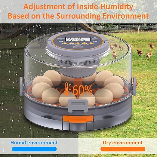 12 Egg Incubator with Automatic Egg Turning and Humidity Control, Intelligent - Image 3