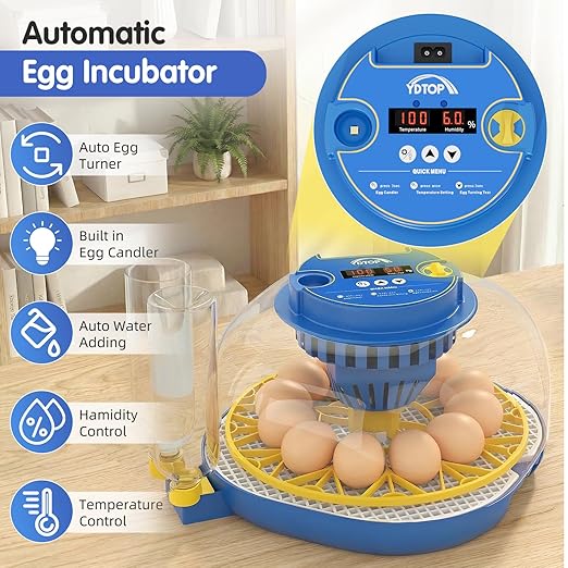 Chicken Egg Incubators for Hatching Eggs, 12 Egg Incubator - Image 6