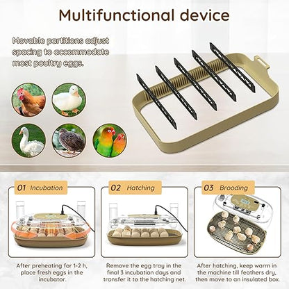 24 Egg Incubator for Hatching Eggs - Image 6