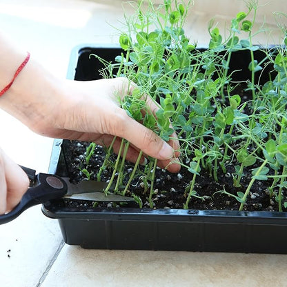 Mr. Pen- Plastic Growing Trays, 10 Pack, Plant Tray, Seed Tray, Seedling Tray - Image 9