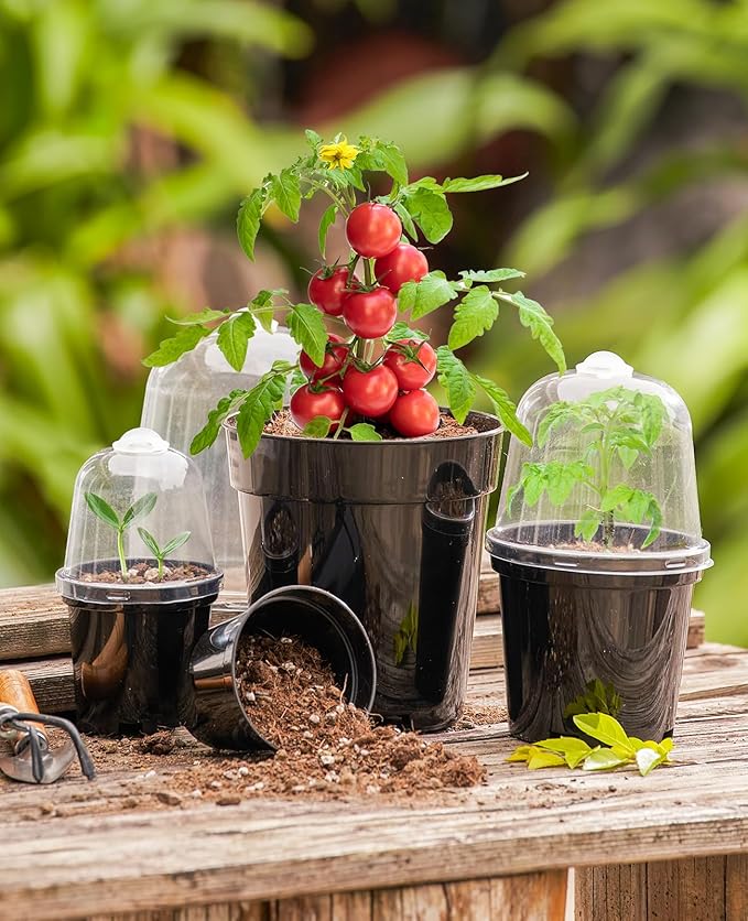 homenote Nursery Pots for Plants, 5 Inch Plant Pot for Planting - Image 4