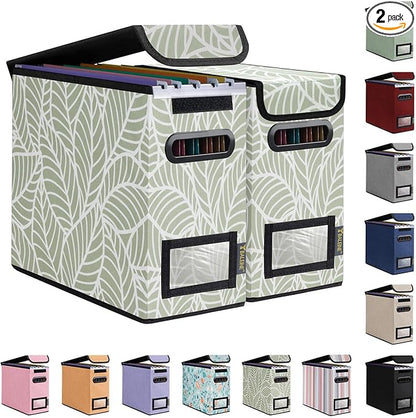 BALEINE File Organizer Box by BALEINE