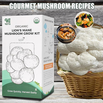 Large Organic Lion's Mane Mushroom Grow Kit - Image 4