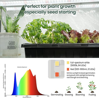 SOLIGT Indoor Greenhouse with Grow Lights - Image 4