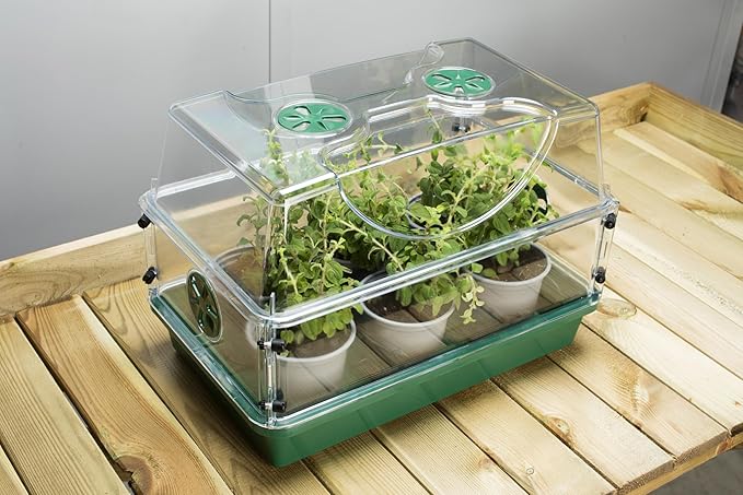 EarlyGrow Domed Propagator - Image 9