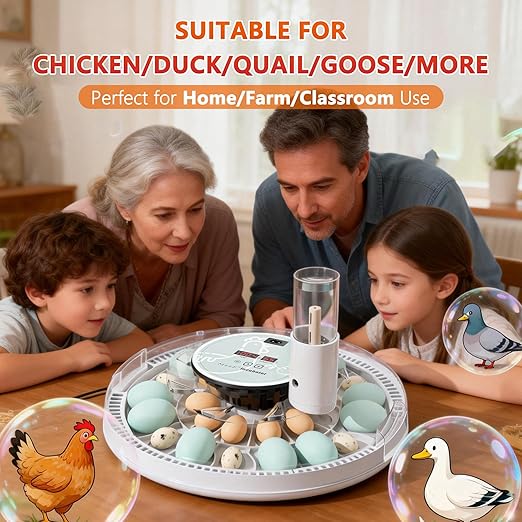 MeeF incubators for Hatching 28 Eggs, Independent atomizing humidifier - Image 2