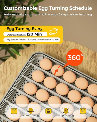 48 Egg Incubator for Hatching - Image 3