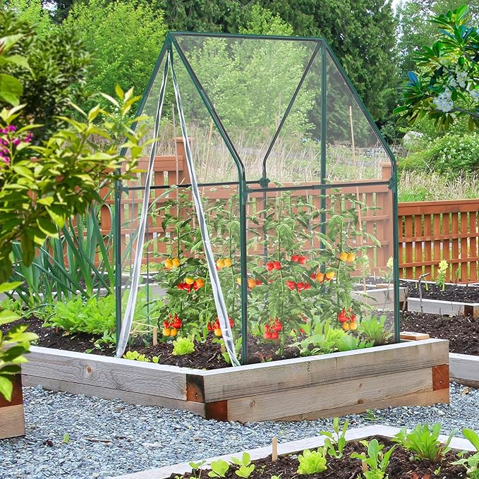 Mini Greenhouse for Indoor Outdoor: Ohuhu Portable Green House - Image 6