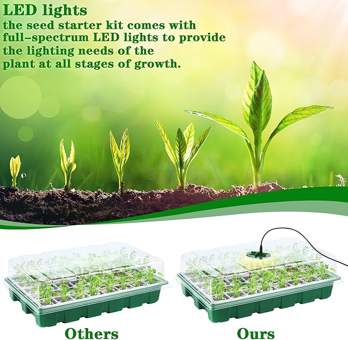 3 Pack Seed Starter Tray Kit - Image 3