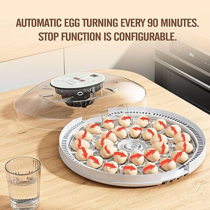 MeeF incubators for Hatching 28 Eggs, Independent atomizing humidifier - Image 9