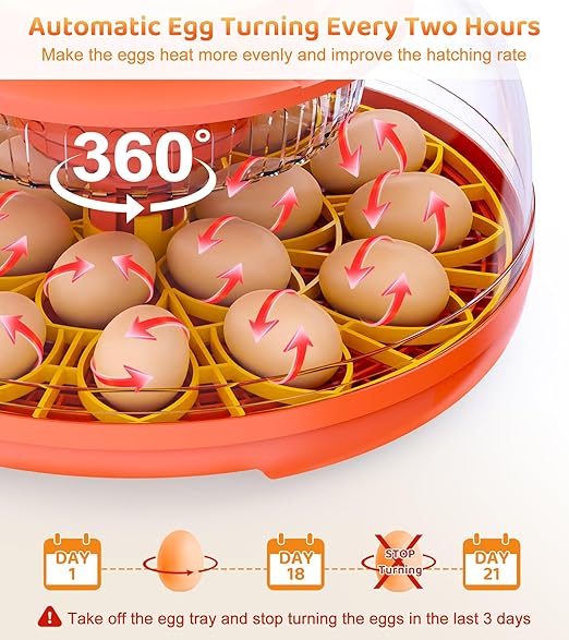 18 Egg Incubator with Automatic Egg Turning, Digital Temperature Humidity - Image 4
