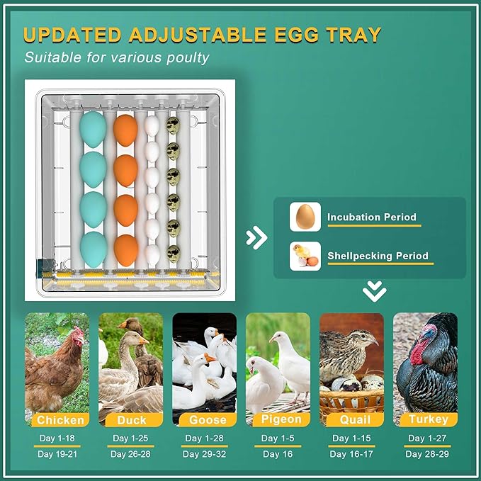 Choies 16 Egg Incubator, Incubators - Image 7