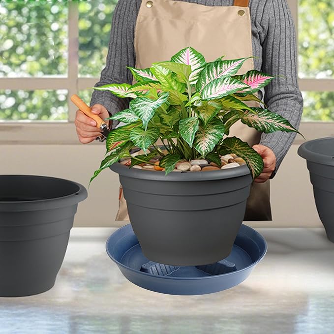 4 Pack Plant Saucer 8 inch, 10 12 14 17 inch, Plant Stand Plastic Plant Saucers - Image 5