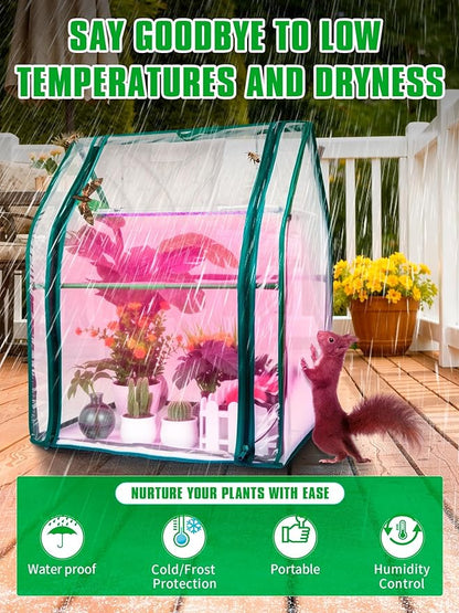Mini Greenhouse Indoor, Mini Green House - Image 6