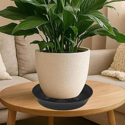4 Pack Plant Saucer 10 inch, 8 12 14 17 inch, Plant Stand Plastic Plant Saucers - Image 7