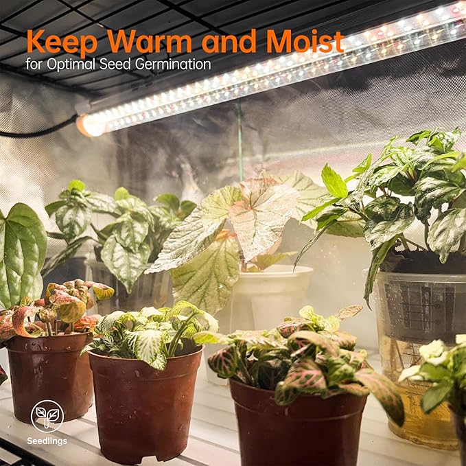 Bstrip Indoor Greenhouse with Grow Light, Plant Stand with 4 Pack 24W Full - Image 4