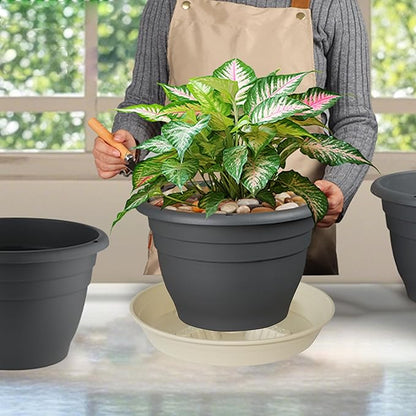 4 Pack Plant Saucer 12 inch, 8 10 14 17 inch, Plant Stand Plastic Plant Saucers - Image 6