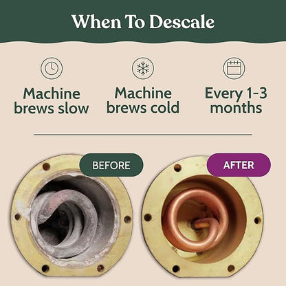 Breville Compatible Descaling Solution. Specially Formulated to Clean & Descale - Image 6