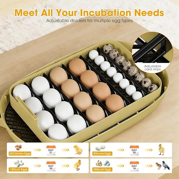 24 Egg Incubator for Hatching Eggs, Automatic Egg Turning, Temperature & - Image 4