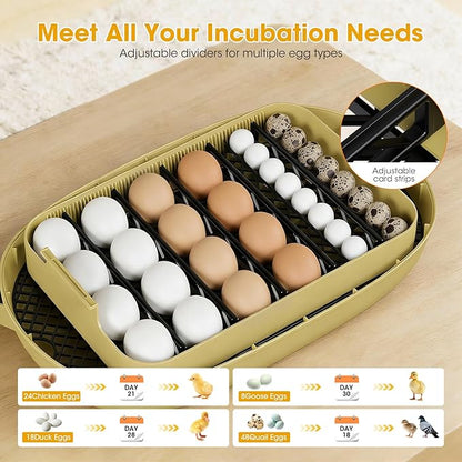 24 Egg Incubator for Hatching Eggs, Automatic Egg Turning, Temperature & - Image 4