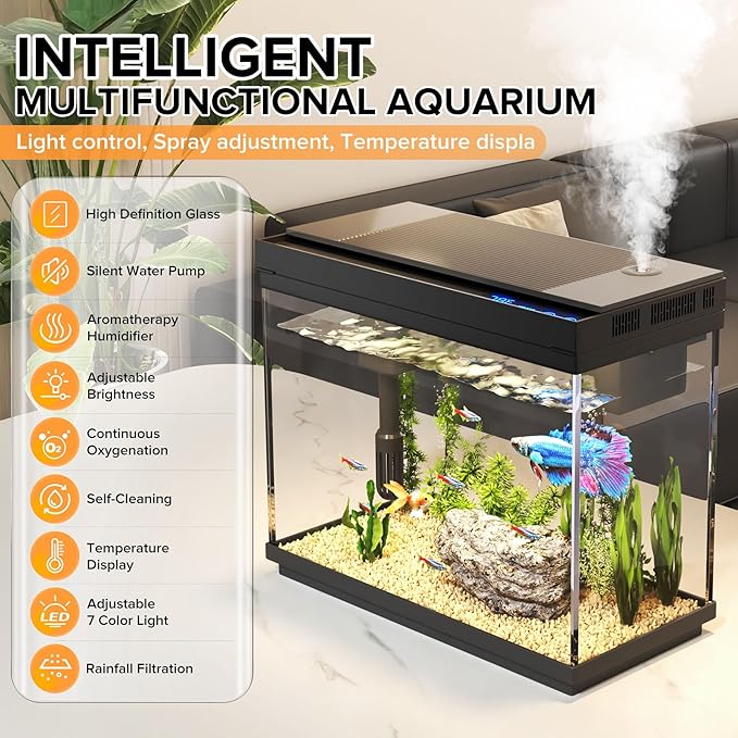 Fish Tank, 2.4 Gallon Fish Aquarium, Fish Tank Starter kit - Image 2