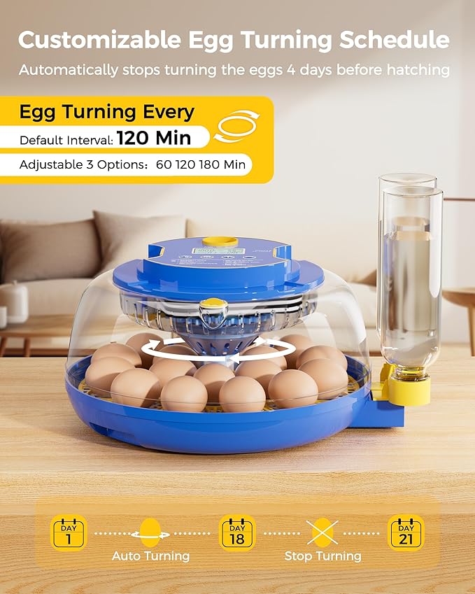 18 Incubators for Hatching Eggs, Automatic Egg Turning and Humidity Control - Image 3