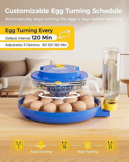 18 Incubators for Hatching Eggs, Automatic Egg Turning and Humidity Control - Image 3